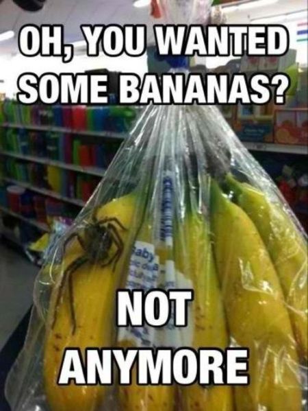 25-spider-in-banana-bag-meme